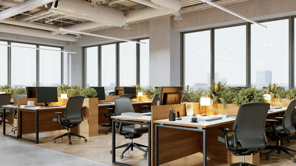 Sustainable Green Working Office Space