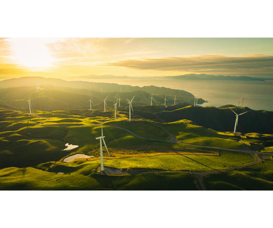 The Role of Renewable Energy in Mitigating Climate Change: What's New?